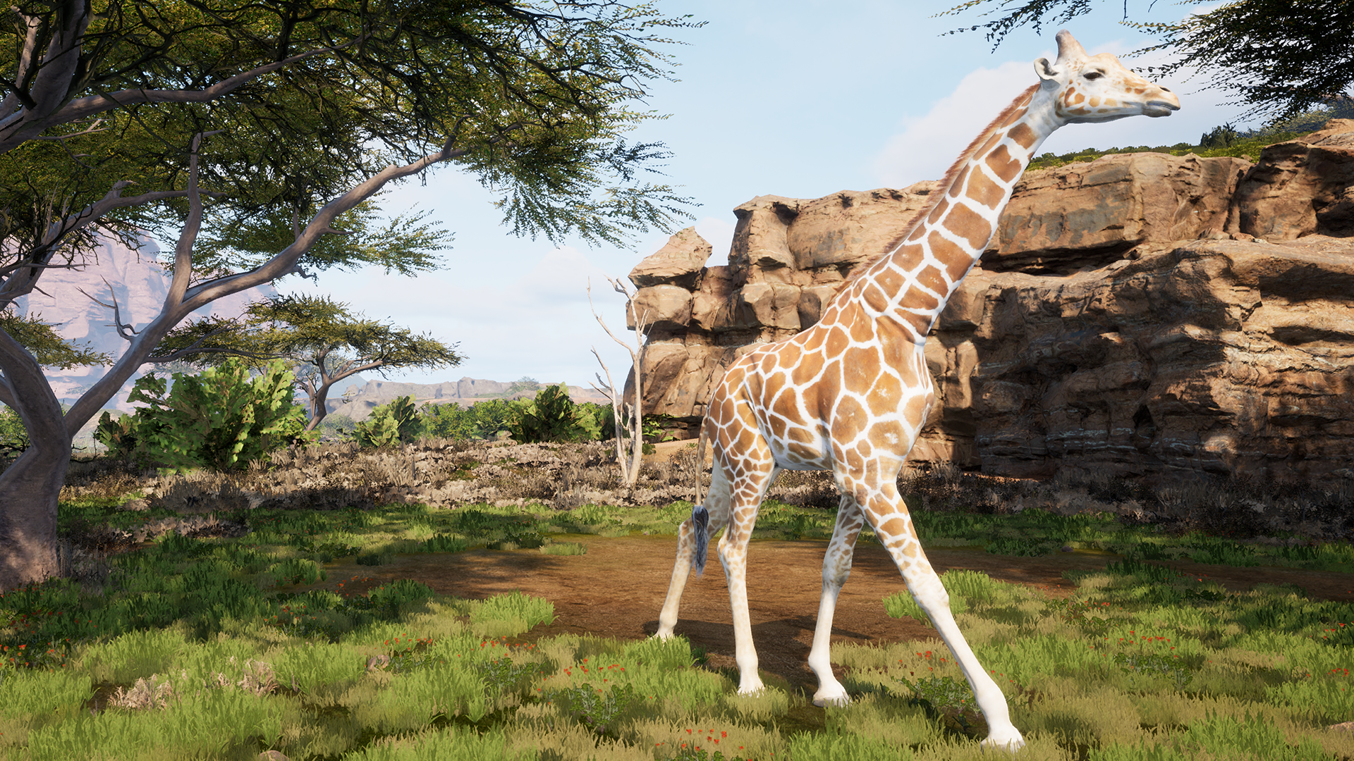 Giraffe Gameplay